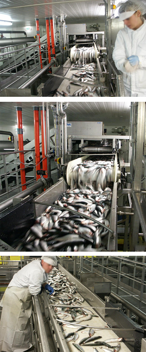 tailored solutions for EuroBaltic
