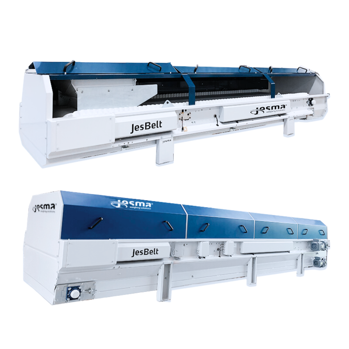 JesBelt A weigh feeder