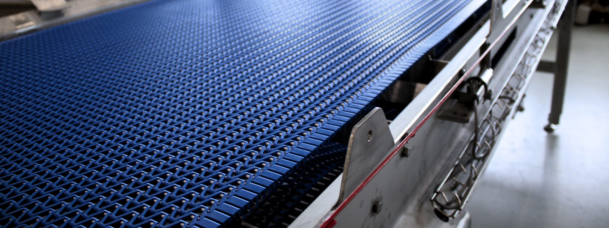 Jesma Aqua line Food industry scales belt